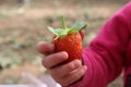 Close up on a little childÃ¢â¬â¢s hand holding strawberry